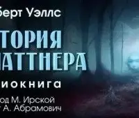 История Платтнера