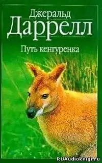 Путь кенгуренка