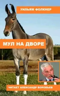 Мул на дворе