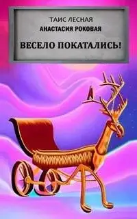 Весело покатались!