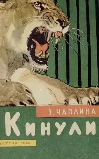 Кинули