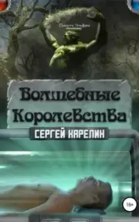 Волшебные королевства. Книга 1