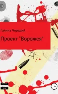 Проект «Ворожея»