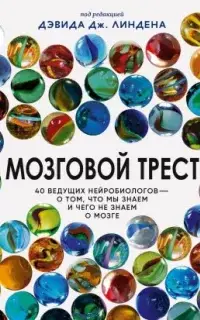 Мозговой трест. 40 ведущих нейробиологов – о том, что мы знаем и чего не знаем о мозге