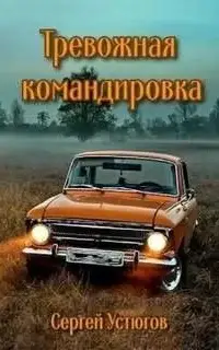 Тревожная командировка. Книга 1